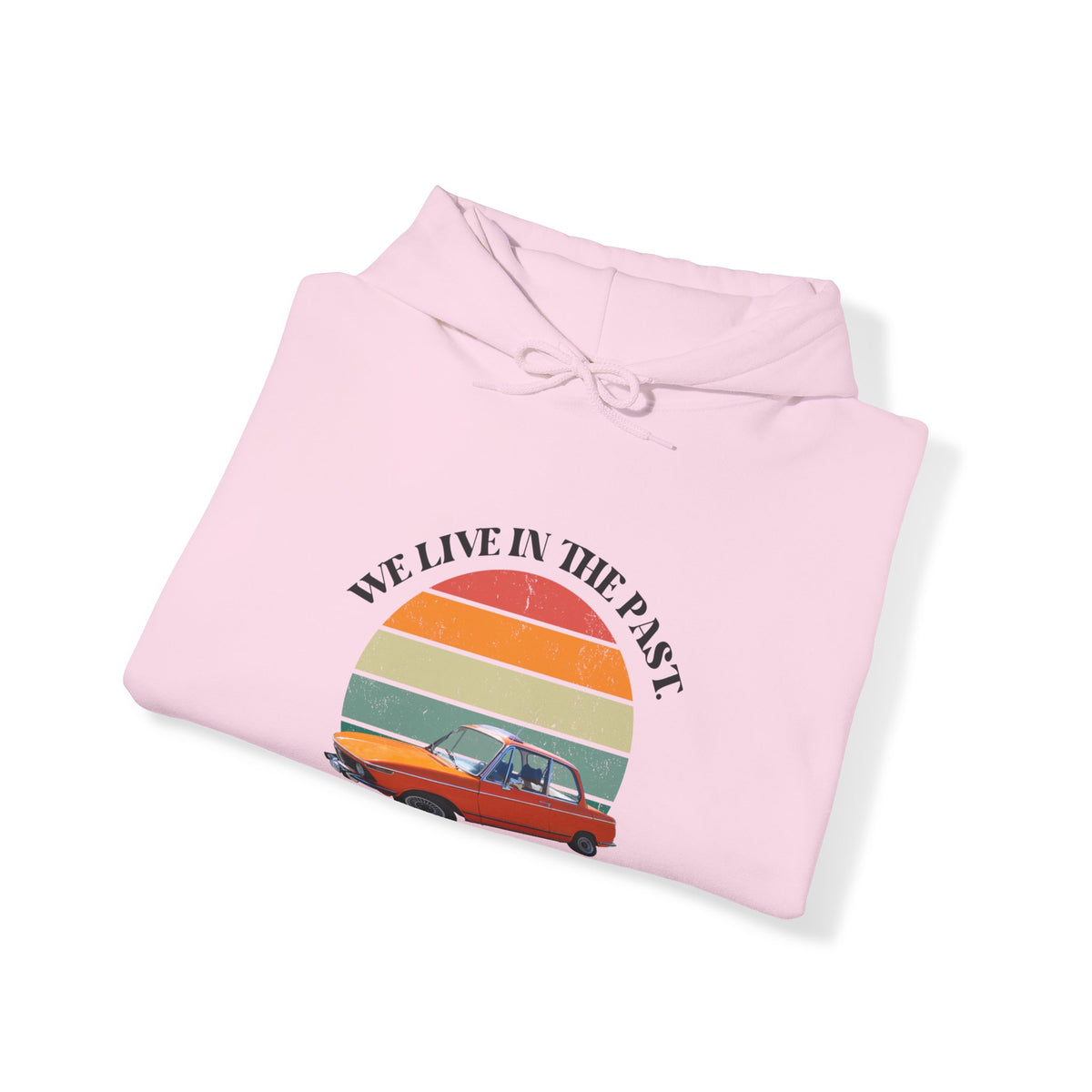 We Live in The Past Customized Unisex Heavy Blend™ Hooded Sweatshirt